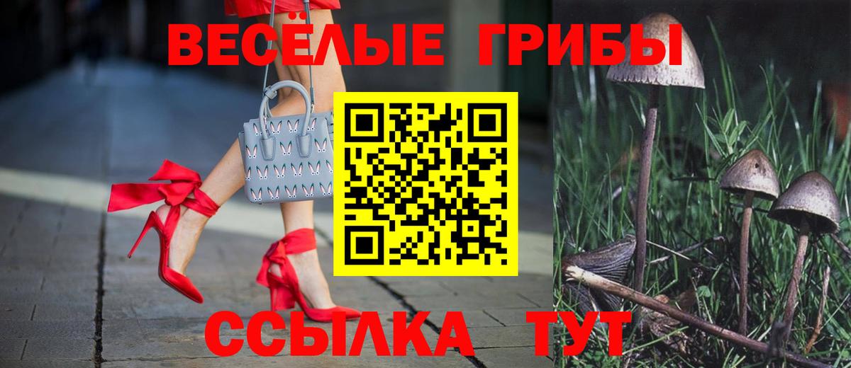 Галлюциногенные грибы Magic Shrooms Серов